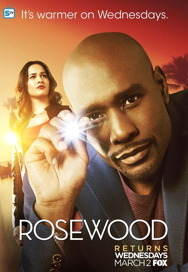 Rouzvudas (1 Sezonas) / Rosewood (Season 1) (2015)