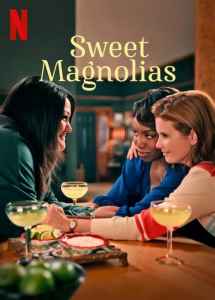 Saldžiosios magnolijos 1 sezonas / Sweet Magnolias season 1 Online
