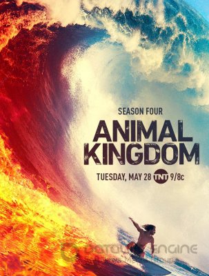 Gyvulių karalystė / Animal Kingdom 4 Sezonas