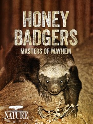 Bitėdžiai Barsukai: Chaoso Meistrai / Honey Badgers: Masters of Mayhem (2014)